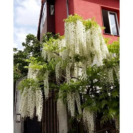 Malot 34 Bed & Breakfast Montreuil (Seine-Saint-Denis)